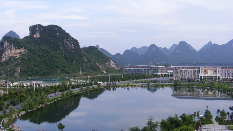 继电器寿命之谜：揭秘影响继电器使用寿命的关键因素**